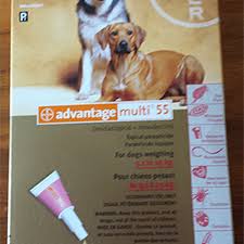 Find More Bayer Advantage Multi 55 For Dog For Sale At Up To 90 Off