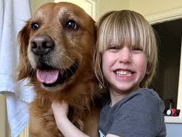 Fundraiser by Hayle Oberle : Help Gracie Walk Again: Support Her Surgery