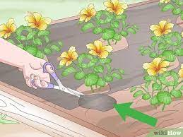 Maybe you would like to learn more about one of these? 3 Ways To Install A Weed Barrier Wikihow