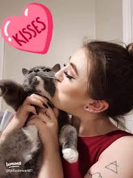 Meet My Adorable Kitty: Fester's Sunshine Moments