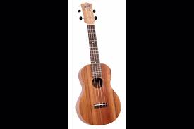 Maton Concert Ukulele Interested in purchasing a ukulele and don't know where to start? maton concert ukulele