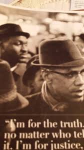 Ann Sealy (@sealyworks7)