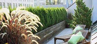 Pour une installation non définitive et facilement démontable. Quelles Plantes Brise Vue Pour Votre Terrasse Ou Votre Balcon