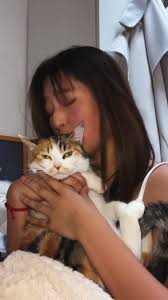 Oh My Darling I Love U Tom and Jerry