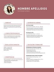 Plantillas para un curriculum vitae básico. Formato Curriculum Vitae 2017 Pdf