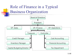 Chapter 1 Overview Of Finance Ppt Download
