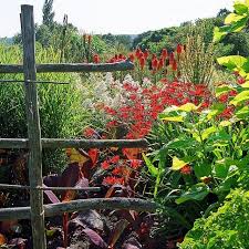 Great Dixter Gardens England Great Dixter Gardens Sussex England 17 Of 23 A Vibrant Garden Garden History Country Gardening Beautiful Gardens