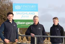 Precision decisions drive performance