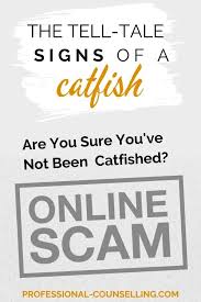 It's important to understand what suitable in this context means. Signs You Ve Been Catfished And 11 Tips To Outsmart A Catfish