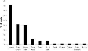 Image result for Achyrospermum carvalhoi