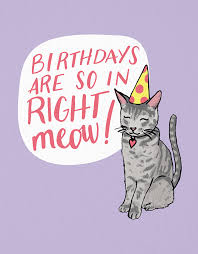 Birthdays Are So In Right Meow Postable Happy Birthday Best Friend Happy Birthday For Her Happy Birthday Gifts
