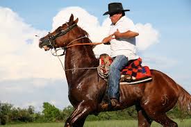 Resultado de imagen para hombre de likiliki a caballo