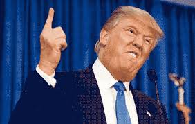 Image result for donald trump animated gif. Donald Trump Gif Find On Gifer
