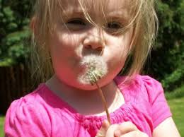 💜💛💜Adopted💜💛💜 My Senior is Bella Fusco Bella is attending Kent State  for fashion merchandising. Bella has spent her time playing softball for  the last 7 years and is a member of NHS.