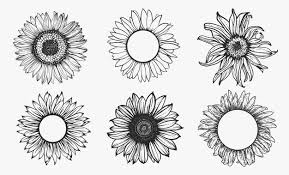 We did not find results for: Premium Vector Sketch Of Sunflower Set Hand Drawn Outline Illustration