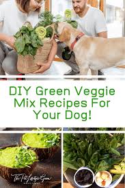 Diy Green Veggie Mix Recipes For Dogs The Pet Lifestyle Guru Recipe Dog Nutrition Dog Food Recipes Green Juice Recipes