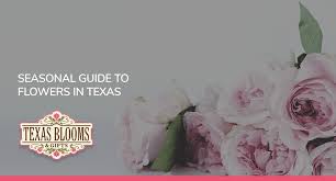 Grow a fantastical garden of your favorite blooms all year long with our gorgeous botanical art. Seasonal Guide To Flowers In Texas Texas Blooms Gifts