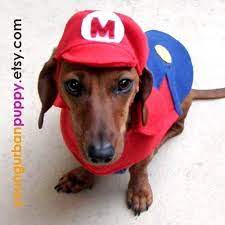 Mario Nintendo Costume For Dogs Dog Halloween Costumes Pet Costumes Dog Hat