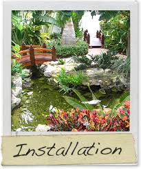 Tripadvisor has 150,032 reviews of fort myers hotels, attractions, and restaurants making it your best fort myers resource. Fort Myers Lawn Care Greenprint Lawn Landscape Fort Myers Lawn Care Greenprint Lawn And Landscape