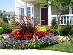 Oct 23, 2020 · these flowers grow in a spreading mound that can function as a ground cover, with blooms in bright summer colors like orange, yellow, red, and reddish purple. Custom Landscape Installation Design In Charlotte Nc