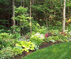 Love The Woodland Edge Large Backyard Landscaping Backyard Landscaping Designs Wooded Backyard Landscape