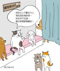 寵物狂想曲 貓也是需要尊嚴的 貓小姐的光陰筆記 udn部落格 cats illustration cat drawing cat painting