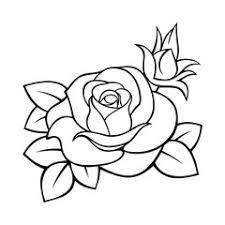 Rose Outline Stock Photos Royalty Free Images Vectors Video Roses Drawing Outline Drawings Drawings