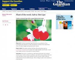 Maybe you would like to learn more about one of these? Posts Falsely Claim To Show A Rare Flower That Blooms Every Four Centuries Fact Check