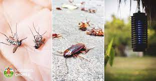 You must be careful about where you place the device because other furniture or walls close by can impact the transmission of below are the top 5 best electronic pest controls for bed bugs. 5 Best Ultrasonic Pest Repeller Reviews For Powerful Pest Repelling
