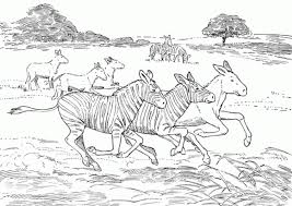 And the youngest artist will be fond of animal masks. African Animal Coloring Pages Zebra Animal Coloring Pages Of Coloring Home