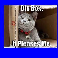 Cat Memes Clean 2018 Funny Cat Memes Cat Memes Clean Cat Memes