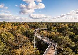 Die pnn durften schon einmal exklusiv in 25 metern höhe über baumkronen und hausdächer wandeln. Baumkronenpfad Beelitz Heilstatten Spreewald Freizeit Freizeitgestaltung Im Uberblick