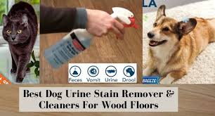 Maybe you would like to learn more about one of these? Best Cleaner For Dog Urine On Hardwood Floors 2021 Reviews Floor Techie