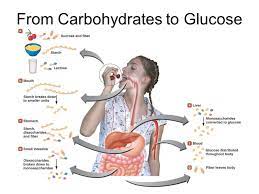 How many gram sugar in 1 cups? Carbs To Sugar Conversion