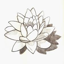 Pin On Flower Images