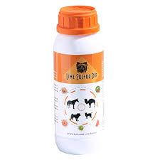 Consult a veterinarian befor using this product. Buy Classic S Lime Sulfur Dip 16 Oz Pet Care Veterinary Treatment For Ringworm Mange And Itchy Skin Xtra Strength Formula Safe Solution For Dog Cat Puppy Kitten Horse Online