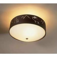 Ships from and sold by amazon.com. Ceiling Light Fixture Ip Rating Ip54 12 W Rs 580 Piece Phoenix Luminaries Private Limited Id 11698494055