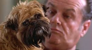 Qualcosa è cambiato la recensione della rom com con jack nicholson e helen hunt 1990 greg kinnear disturbo ossessivo compulsivo cuba gooding jr. Jacknicholsonfansclub1 As Good As It Gets Qualcosa E Cambiato Gattini Jack Nicholson Film