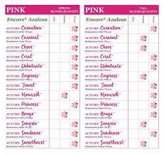 Get Your Garden Started Encore Azalea Bloom Charts Azaleas Bloom Pink Azaleas