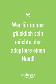 Pin Von Suzanne Auf Glucklich Mit Hund In 2020 Spruche Bedeutungsvolle Zitate Coole Spruche