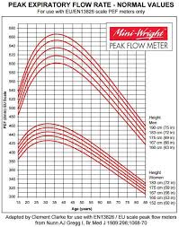 Asthma Peak Flow Chart Pediatric Www Bedowntowndaytona Com