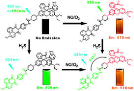 Film semi tanpa sensor full adegan dewasa film semi terbaru film semi indonesia film semi thailand film semi. A Logic Gate Based Fluorescent Sensor For Detecting H2s And No In Aqueous Media And Inside Live Cells Chemical Communications Rsc Publishing