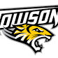 Villanova Wildcats at Towson Tigers Football event image