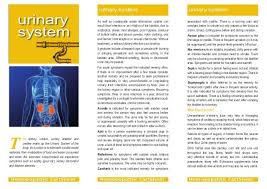 Urinary System By Owen Homoeopathics Via Slideshare Homeopathy Homeopathic Remedies Fact Sheet