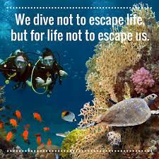 We Dive Not To Escape Life But For Life Not To Escape Us Scuba Diving Quotes Diving Scuba Diving