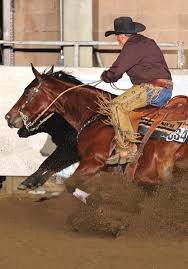 Meet the Horses and their Riders