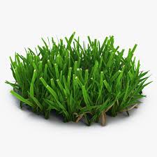 3d Grass 5 Model 3d Model Vintage Business Cards Template 3d Model Grass