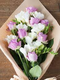 Lilac Roses And White Freesia Freesia Flowers Flowers Bouquet Lilac Roses