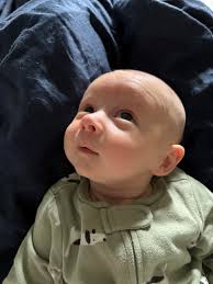 Could someone remove the large ginger dog from the front of the photo and  the leaders please? Thank you ☺️