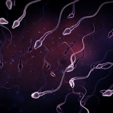 How to convert drop to milliliter. Sperm Counts Among Western Men Have Halved In Last 40 Years Study Men S Health The Guardian